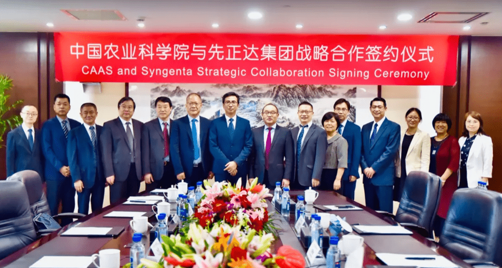 摩登4-妄想照进现实,致力成就将来!