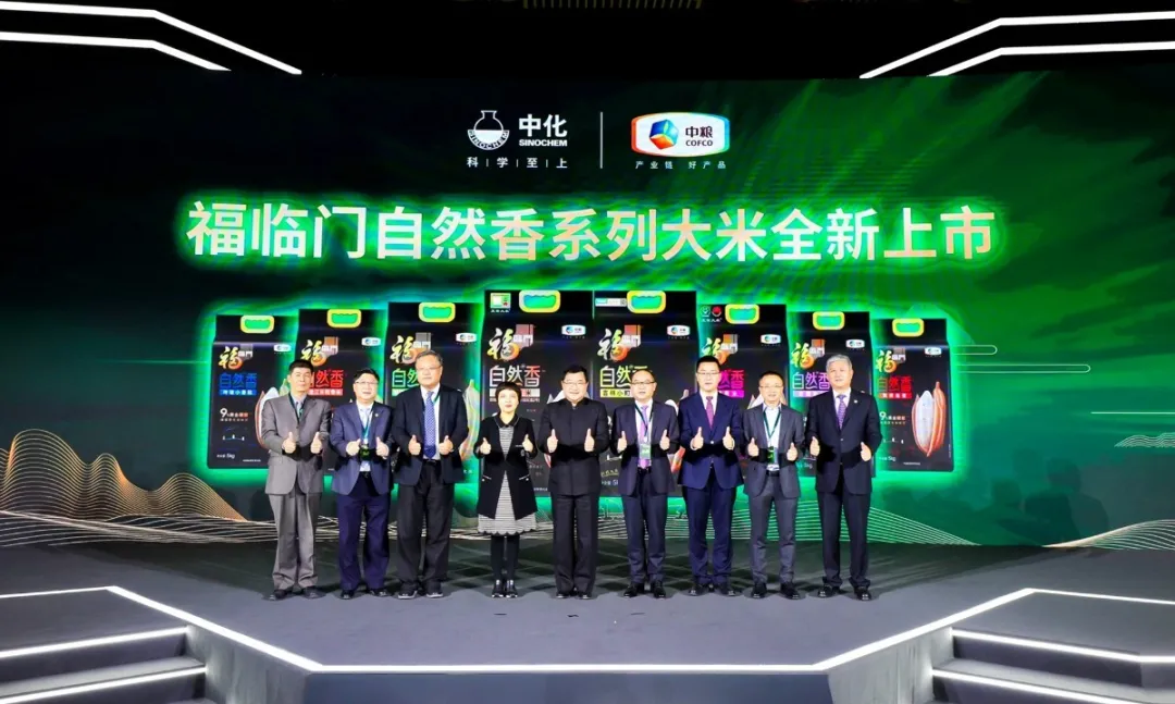 摩登4-妄想照进现实,致力成就将来!