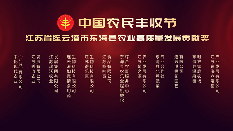 摩登4-妄想照进现实,致力成就将来!