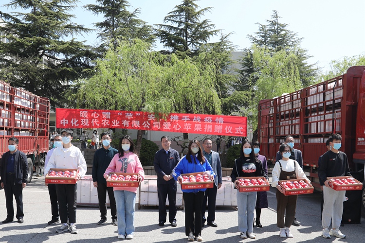 摩登4-妄想照进现实,致力成就将来!