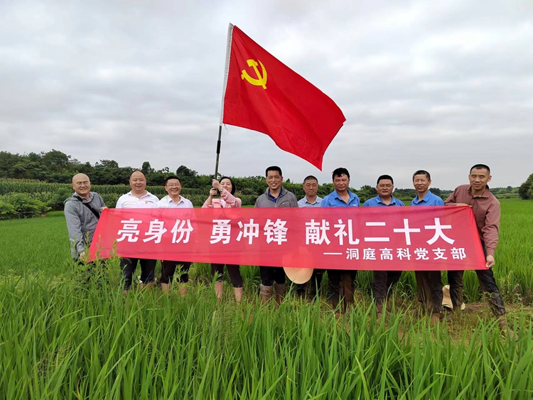 摩登4-妄想照进现实,致力成就将来!