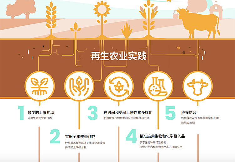 摩登4-妄想照进现实,致力成就将来!