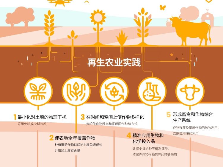 摩登4-妄想照进现实,致力成就将来!