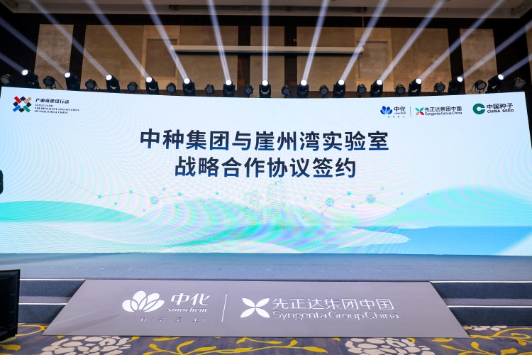 摩登4-妄想照进现实,致力成就将来!