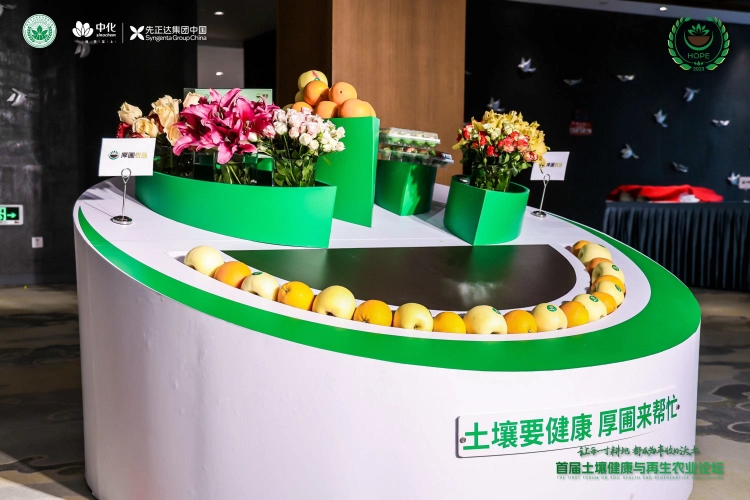 摩登4-妄想照进现实,致力成就将来!