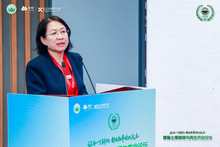 摩登4-妄想照进现实,致力成就将来!