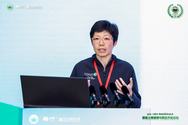 摩登4-妄想照进现实,致力成就将来!