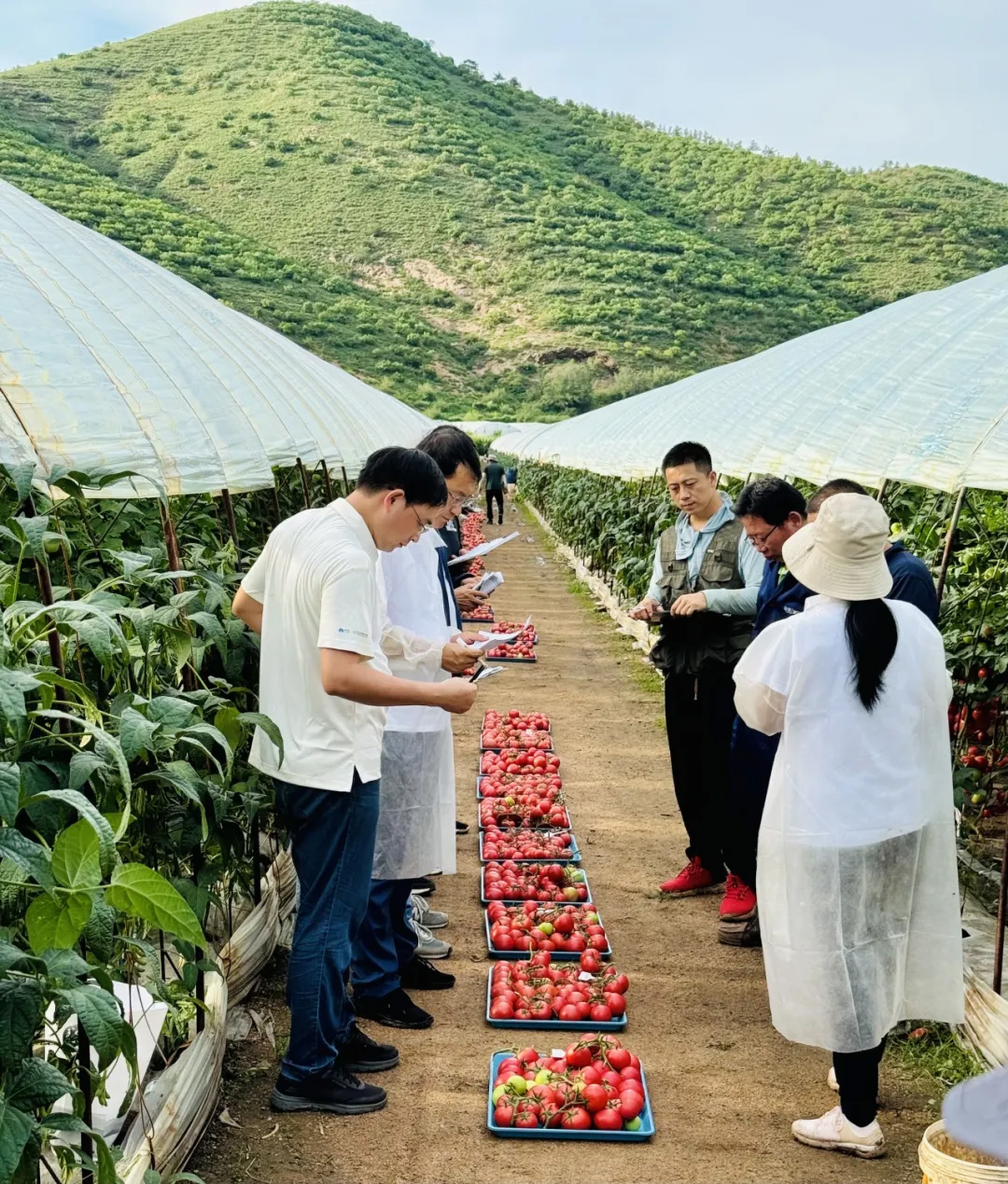 摩登4-妄想照进现实,致力成就将来!