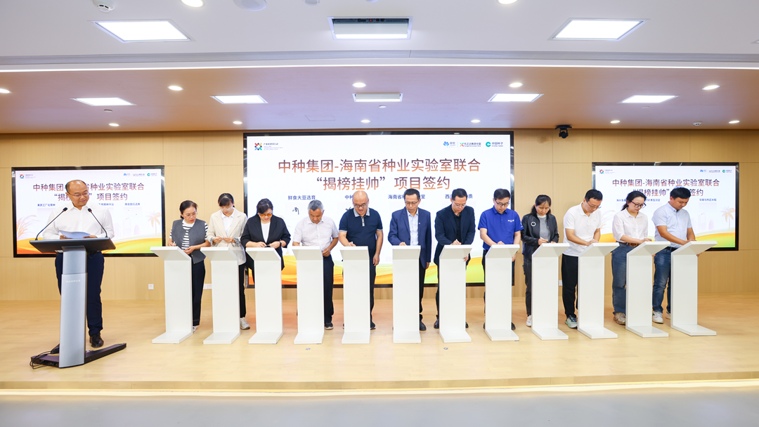 摩登4-妄想照进现实,致力成就将来!
