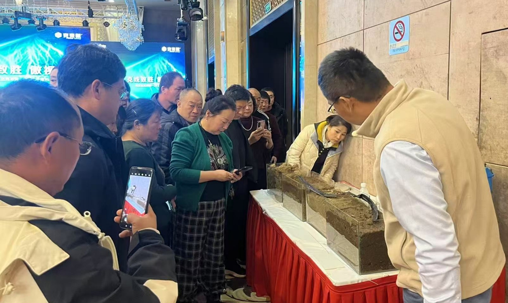 克莱奥1 摩登4-妄想照进现实,致力成就将来!