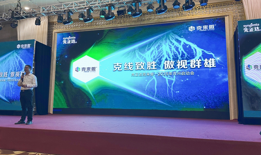 克莱奥2 摩登4-妄想照进现实,致力成就将来!
