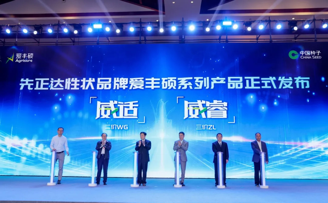 摩登4-妄想照进现实,致力成就将来!