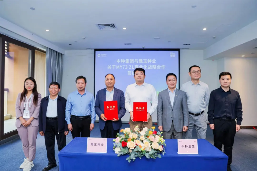 摩登4-妄想照进现实,致力成就将来!