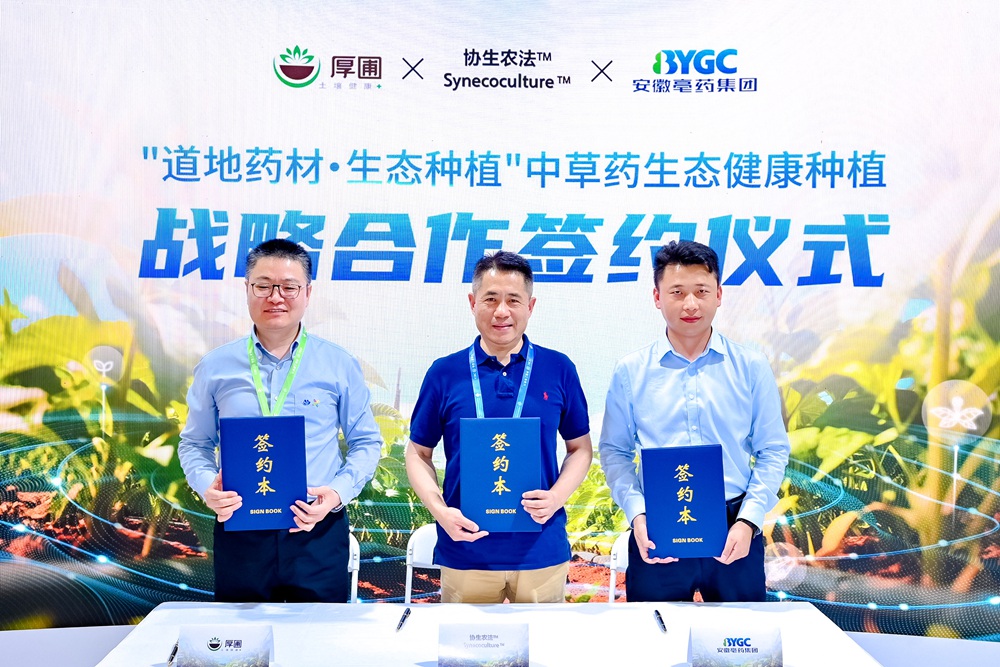 摩登4-妄想照进现实,致力成就将来!