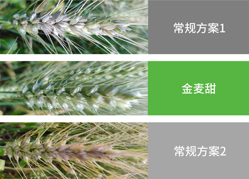 摩登4-妄想照进现实,致力成就将来!