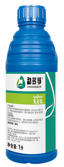 摩登4-妄想照进现实,致力成就将来!