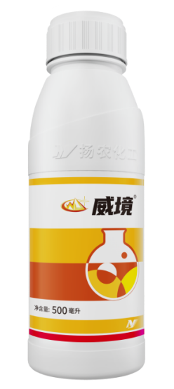 摩登4-妄想照进现实,致力成就将来!