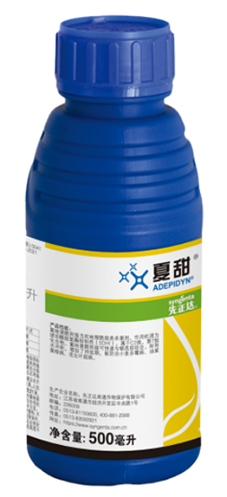 摩登4-妄想照进现实,致力成就将来!