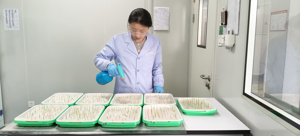 安道麦辉丰 安道麦辉丰
